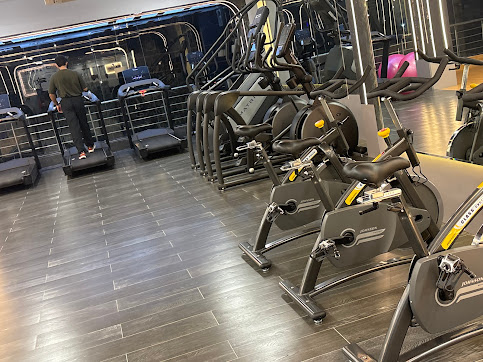 Inside the training floors of Elite Fitness Club, scene 1